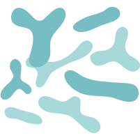 動物雙歧桿菌乳亞種